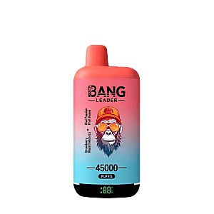 A pink-to-blue gradient vape bottle with a red cap, featuring a cartoon monkey wearing sunglasses and a helmet on the label, with the text 'BANG LEADER' and '45000 PUFFS' visible.