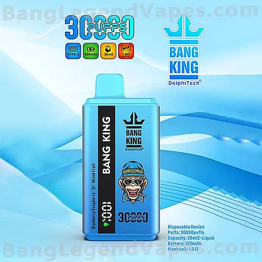 Blue Bang King disposable vape device with a vertical black label featuring the Bang King logo and a cartoon bear wearing a hat, set against a blue wave background; icons above indicate Type-C charging, 550mAh battery, 36ml capacity, and 1.0Ω coil, with 3,000 puffs noted.
