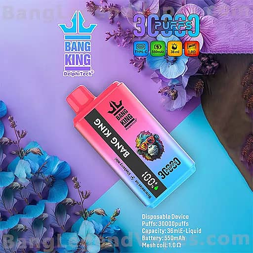 Bang King disposable vape device with a pink-to-blue gradient, featuring bold Bang King branding and artwork, placed on a purple and blue floral background; labels note 3000 puffs and 36 ml of e-liquid.