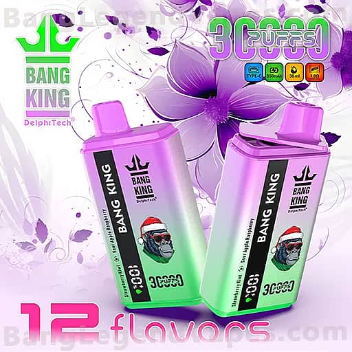 Two pink and lime Bang King branded vape batteries with a cartoon monkey wearing a Santa hat on the label, set against a purple floral background.