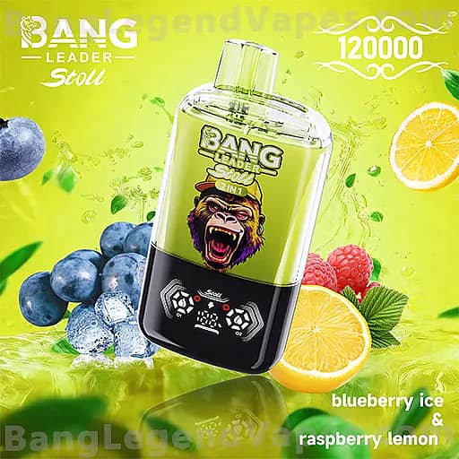 Bright lime-green promotional image showing a Bang Leader Stout energy bottle with a snarling monkey mascot on the label, set among blueberries, raspberries, lemon and orange slices.