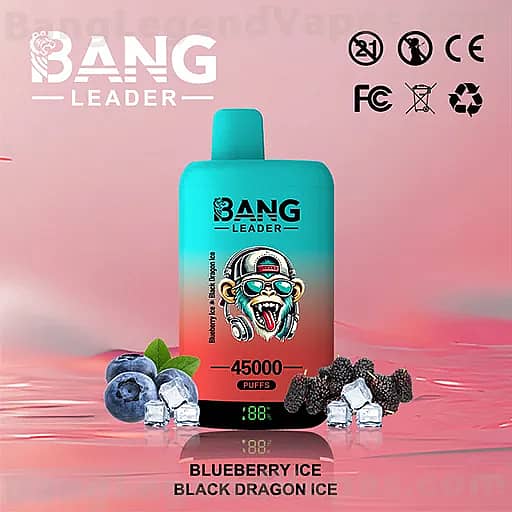 A turquoise gradient Bang Leader vape device with a cartoon monkey wearing headphones on the front, set against a pink gradient background with ice cubes and berries, displaying '45000 PUFFS' and flavor text 'BLUEBERRY ICE BLACK DRAGON ICE'.
