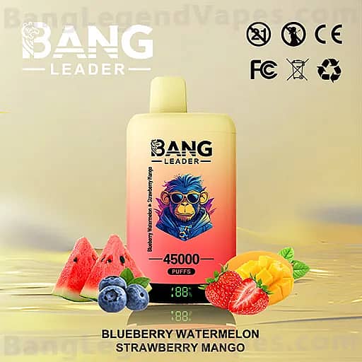 Bang Leader disposable vape device with a pink-to-orange gradient body, a blue cartoon monkey logo, and '45000 Puffs' label, displayed among watermelon slices, blueberries, strawberries, and mango on a yellow background.