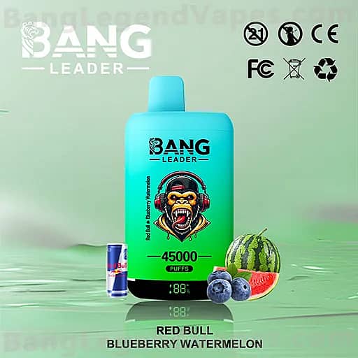 Turquoise Bang Leader vape device with a monkey mascot wearing headphones and '45000 puffs,' displayed beside a can, blueberries, a watermelon slice, and a whole watermelon against a green gradient background; flavor: Red Bull Blueberry Watermelon.