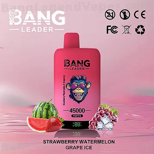Pink vape bottle with the BANG LEADER logo and a cartoon monkey, labeled Strawberry Watermelon Grape Ice, placed on a pink background beside watermelon slices and grapes.