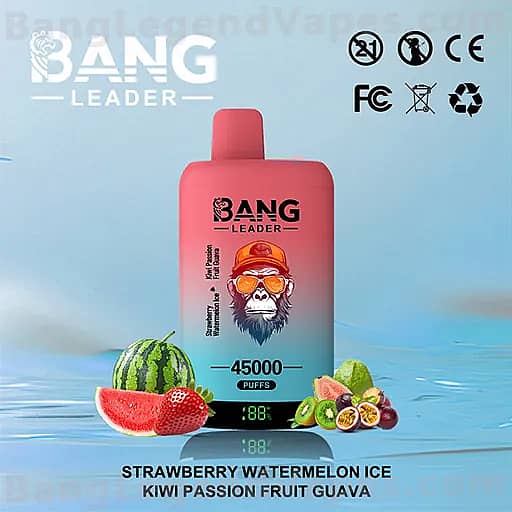 Pink Bang Leader bottle with a gorilla logo and 45000 Puffs, set against a blue water background, surrounded by watermelon slices and mixed fruits (strawberry, kiwi, passion fruit, guava); flavor names Strawberry Watermelon Ice and Kiwi Passion Fruit Guava are shown.
