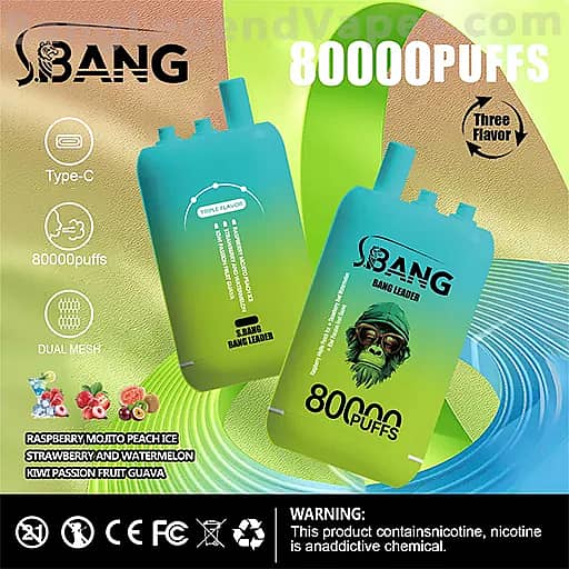 Two turquoise disposable vape devices branded BANG with 80000 puffs on a colorful gradient backdrop, featuring Type-C charging, dual-mesh design, and listed flavors such as raspberry mojito peach ice, strawberry and watermelon, and kiwi passion fruit guava.