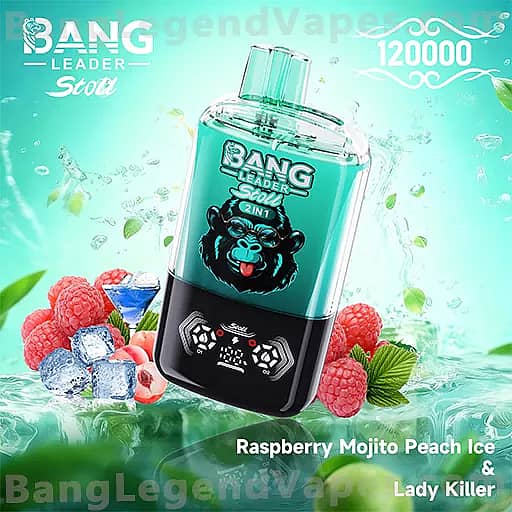 A teal Bang energy bottle with a black base and a gorilla logo sits angled against a turquoise background, surrounded by raspberries, ice cubes, and green leaves; the label reads Bang Leader Stout and the bottom text shows Raspberry Mojito Peach Ice and Lady Killer.